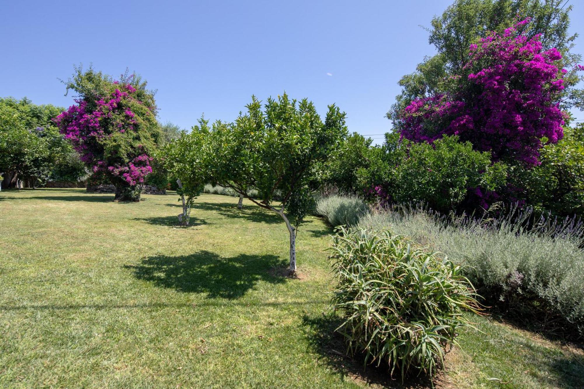 Ionian Garden Villas - Villa Pietra Benitses  Exterior photo